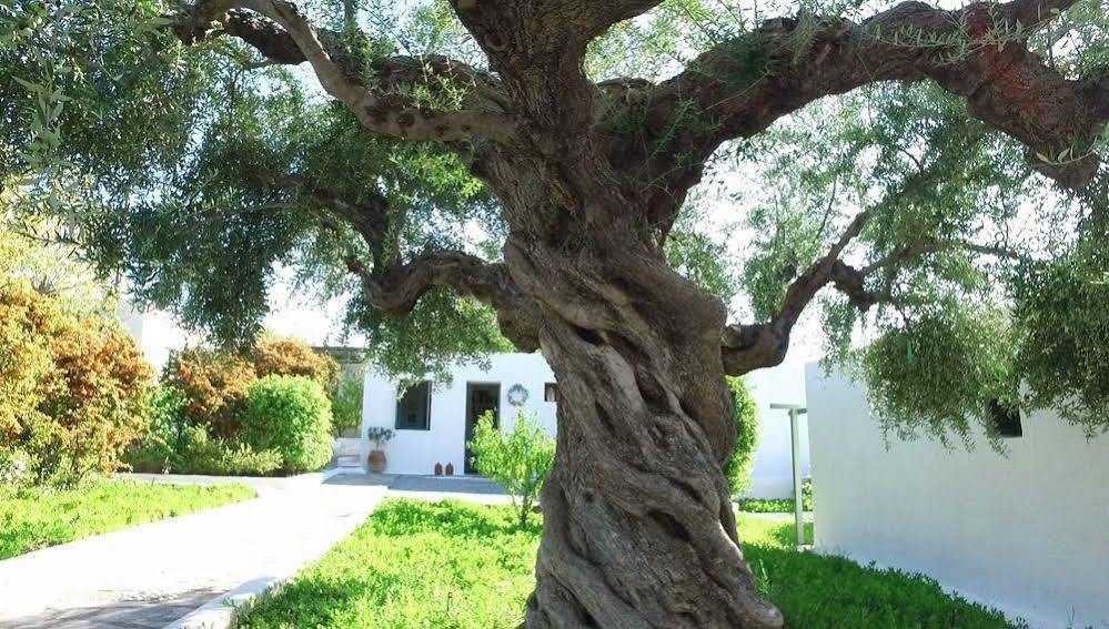 Niriides Villas Selinitsa 외부 사진