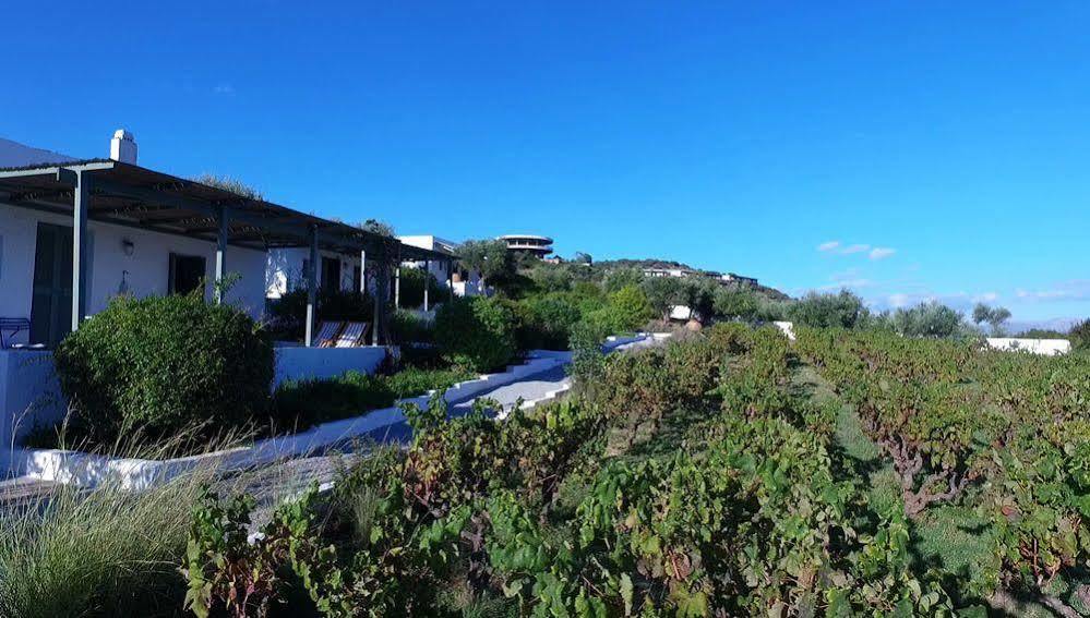 Niriides Villas Selinitsa 외부 사진